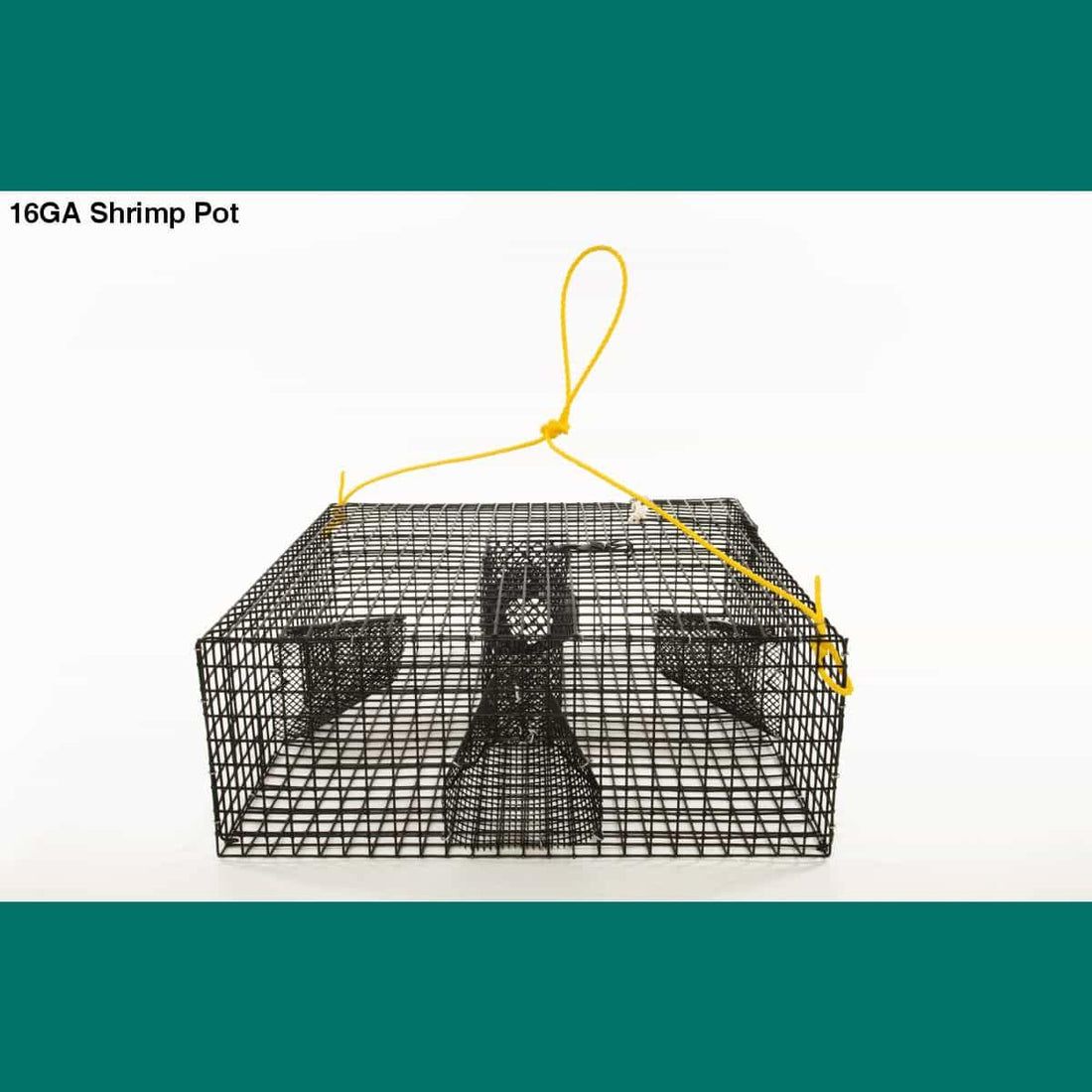 Recreational Spot Shrimp Fishery Opens May 19 - Willapa Marine & Outdoor