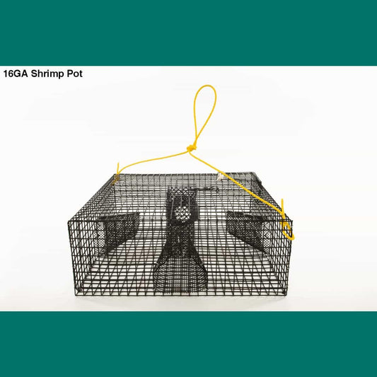 Recreational Spot Shrimp Fishery Opens May 19 - Willapa Marine & Outdoor