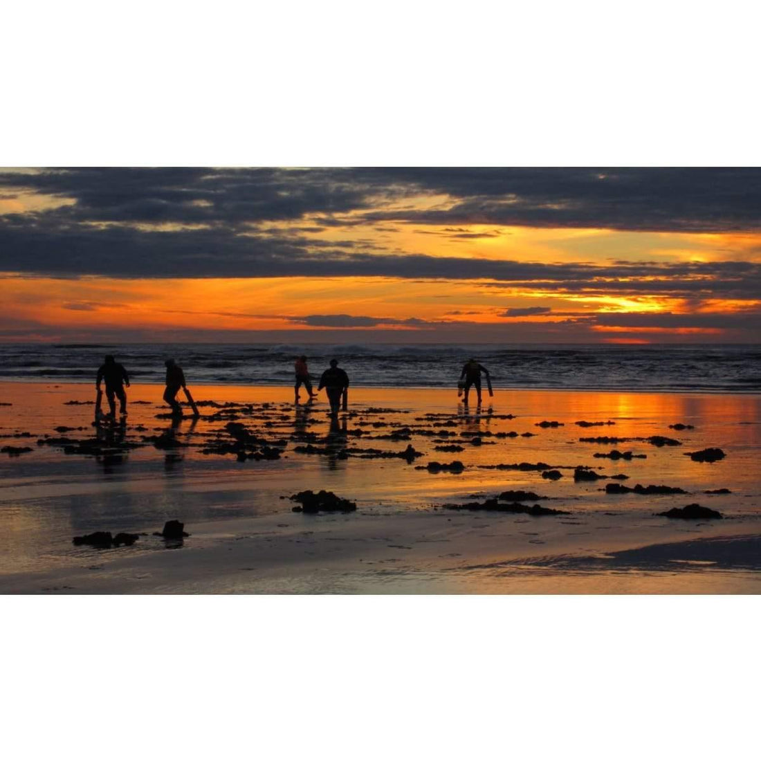 Tentative Razor Clam Digs Through December - Willapa Marine & Outdoor