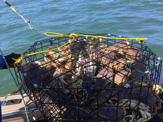 Crabbing On The Washington Coast - Willapa Marine & Outdoor
