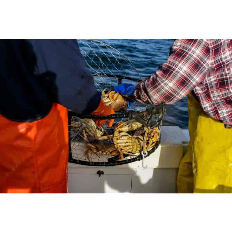 Crab Traps and Pots - Willapa Marine & Outdoor